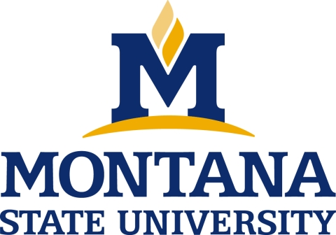 Montana State University Logo Montana State University Logo