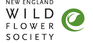 New England Wildflower Society Logo New England Wildflower Society Logo
