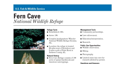 An image of the cover for the refuge fact sheet.
