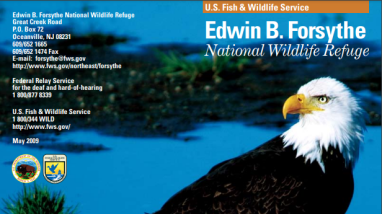 Edwin B. Forsythe Brochure