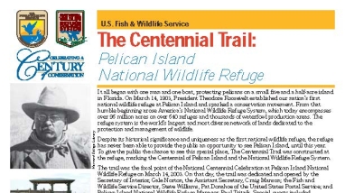 An image of the cover for the fact sheet.