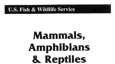 An image of the cover for the Mammals Amphibians and Reptiles brochure.