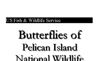 An image of the cover for the brochure.