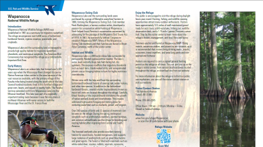 Preview image of the brochure. There are three columns of text, a tiny picture of a duck on the bottom left, and a picture of baldcypress on the right.