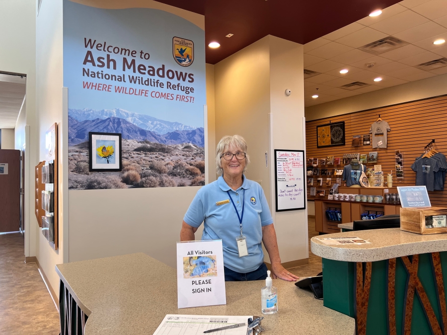 Ash Meadows volunteer