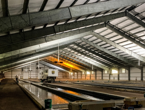 A photo of the production building with the&nbsp;AutoFish marking/tagging trailer in operation.