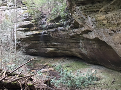 Rock shelter with Cumberland sandwort