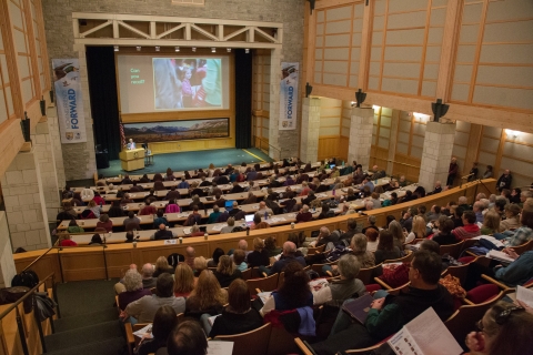 auditorium filled with people viewing presentation on large projection screen