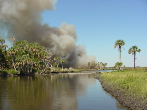 Smoke lifting into the air with burning vegetation underneath