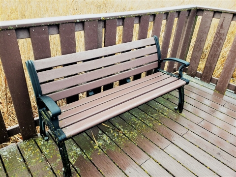 Bench at the Litchfield WMD boardwalk overlook.