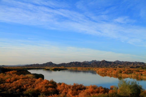 Colorado river flowing through Cibola National Wildlife Refuge