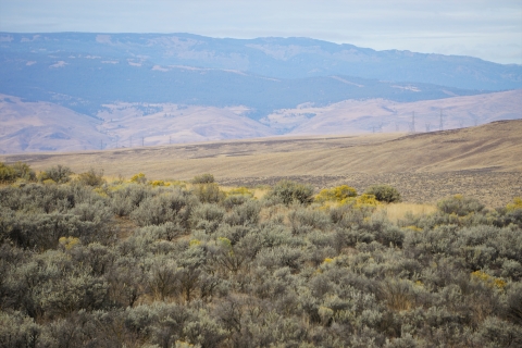 Sagebrush covered hills and distant mountains