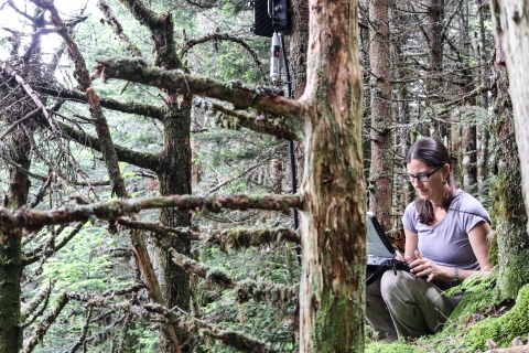 A woman crouching in a forest entering data in a computer