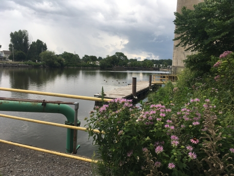 Riverbank pollinator garden with boat dock