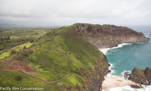 A large bushy and steep coastal cliff area is encircled by a fence