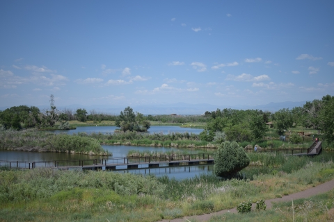 Springtime at Lake Mary