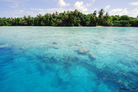 Gorgeous view of bright blue waters with a tropical forest in the background