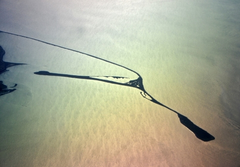 Dungeness Spit Aerial View