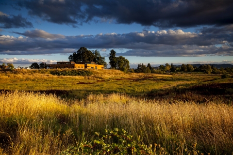 Sunset with clouds in the sky, building on top of hill overlooking wetland filled with grass and other plants 