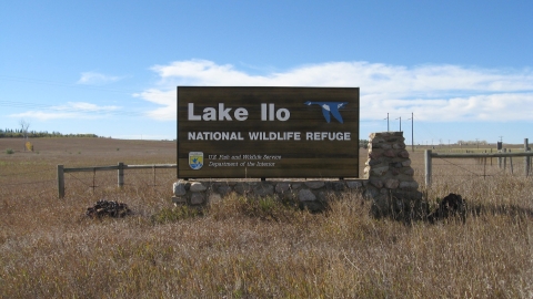 Lake Ilo NWR