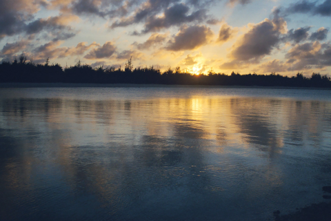 The sun sets over some trees. Water reflects the golden rays off the service. 