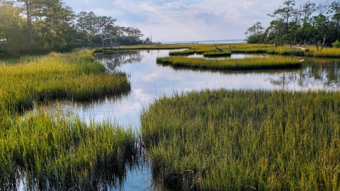 Patches of yellow-green emerge from the water while channels of water reflect a cloudy blue-grey sky.