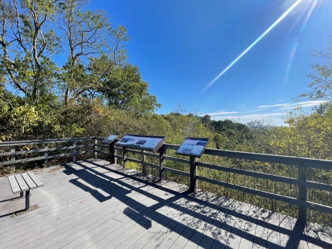 A deck with interpretive panels, surrounded by vegetation