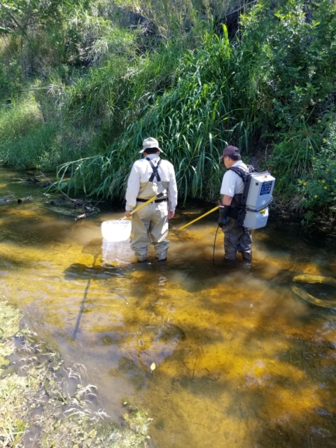 USFWS Backpack Electrofishing