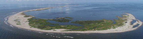 Aerial view of crescent shaped island with vegetation in middle ad sandy edges