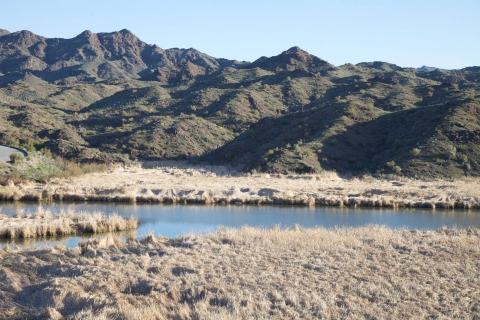The Bill Williams River is shown in front of a background of mountains and a blue sky.