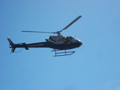 Helo flying