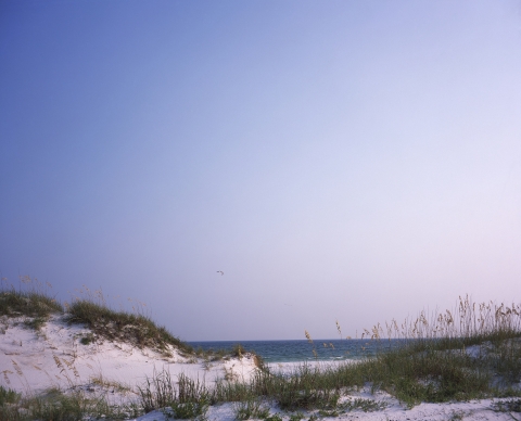 Sand dunes with sea oats and water in the background
