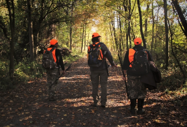 Three hunters wearing safety vests walk into the autumn trail.