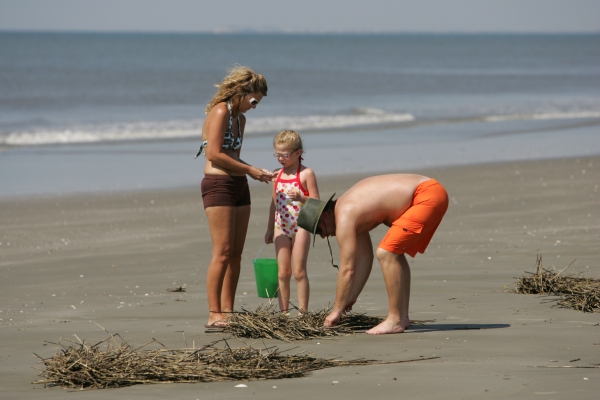 Woman, man and child on the beach looking for shells in beach wrack. The surf is close behind them.