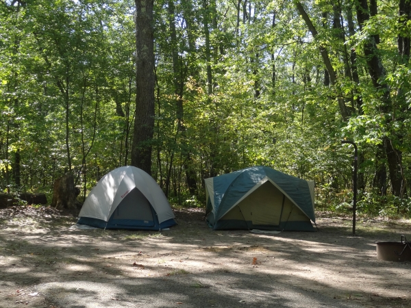Two tents, one beige and one green pitched in a clearing in the middle of the forest.
