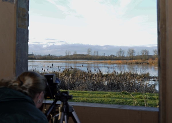 A woman aims her camera at birds through a photography blind at Ankeny National Wildlife Refuge in Oregon.