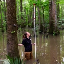 Biologist sets up bat monitoring equipment in a swamp habitat