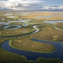wetlands sprawl out across the landscape from above