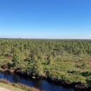 Elevated view of a shrub-dominated landscape with sparse trees and a canal in the foreground