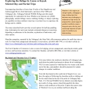 Selected day trips at Umbagog 