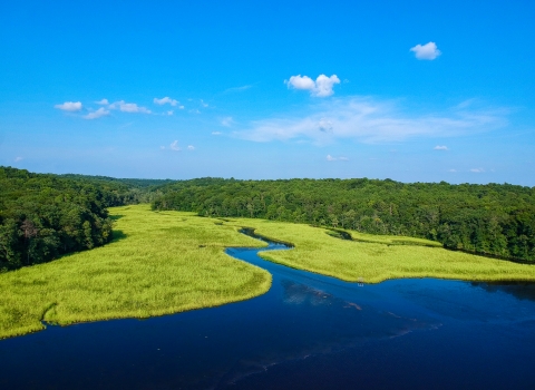 The bright blue water belonging to Cat Point Creek weaves through vivid green wetlands