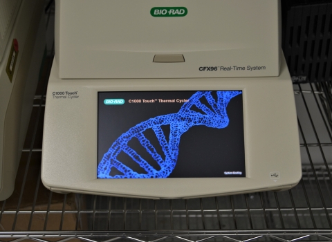 PCR machine with DNA strand on it.